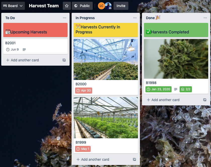 an example of a Kanban board set up a cannabis operation could use 