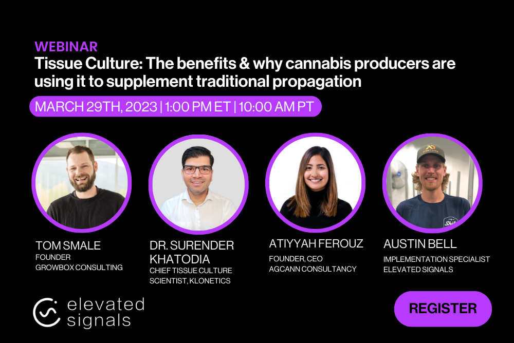 Register for the cannabis tissue culture webinar hosted by Elevated Signals