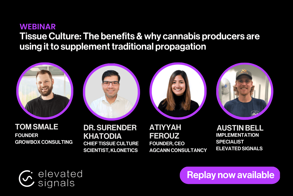 Register for the cannabis tissue culture webinar hosted by Elevated Signals