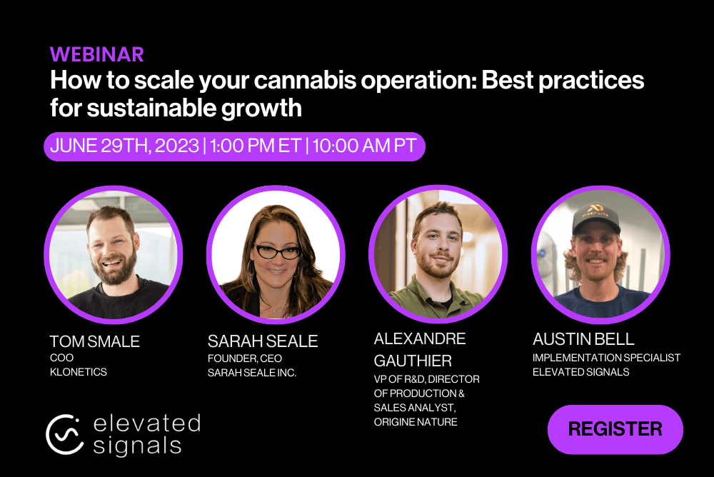 How to scale your cannabis operation [The ultimate guide + expert