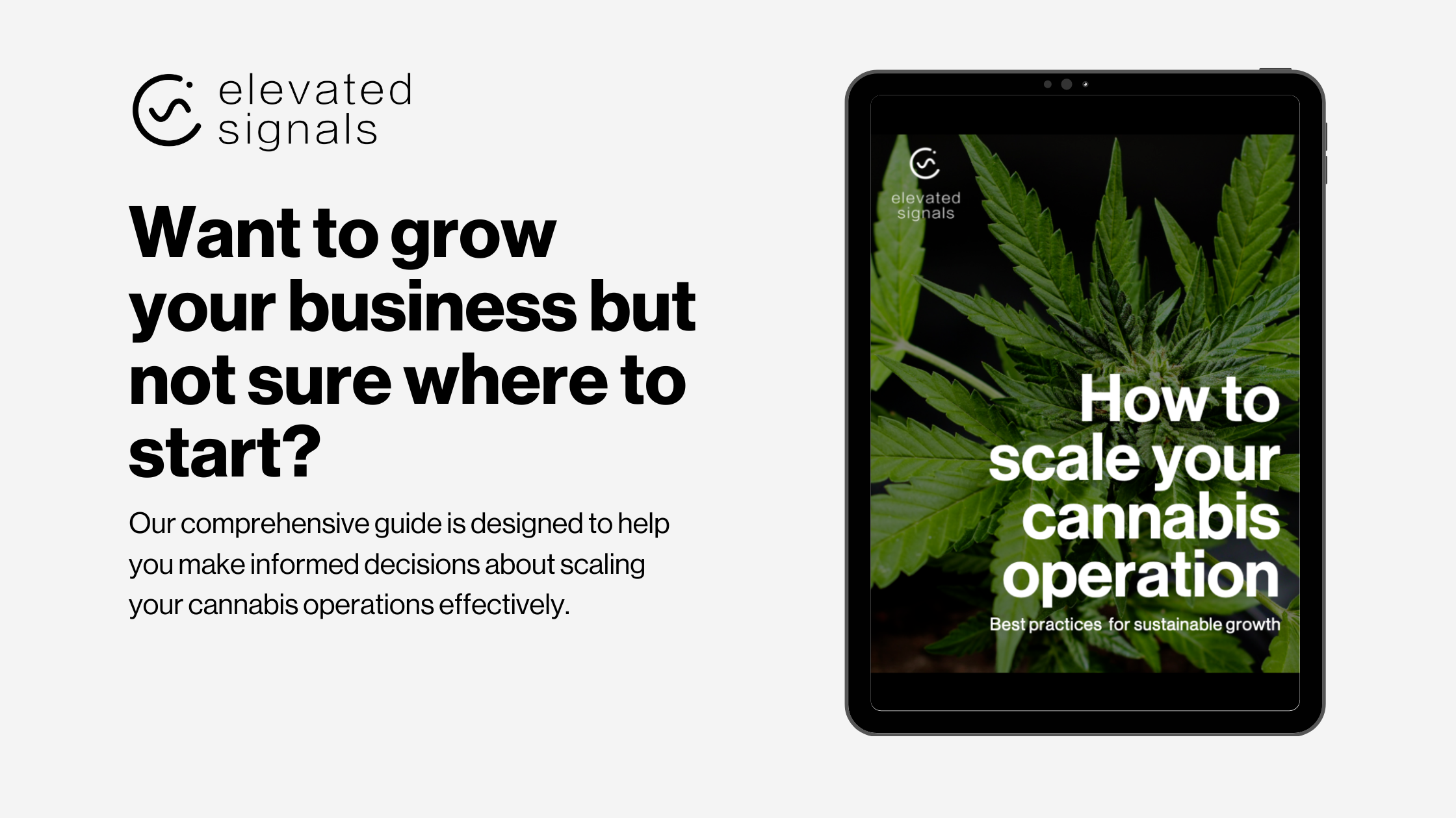 How to scale your cannabis operation [The ultimate guide + expert