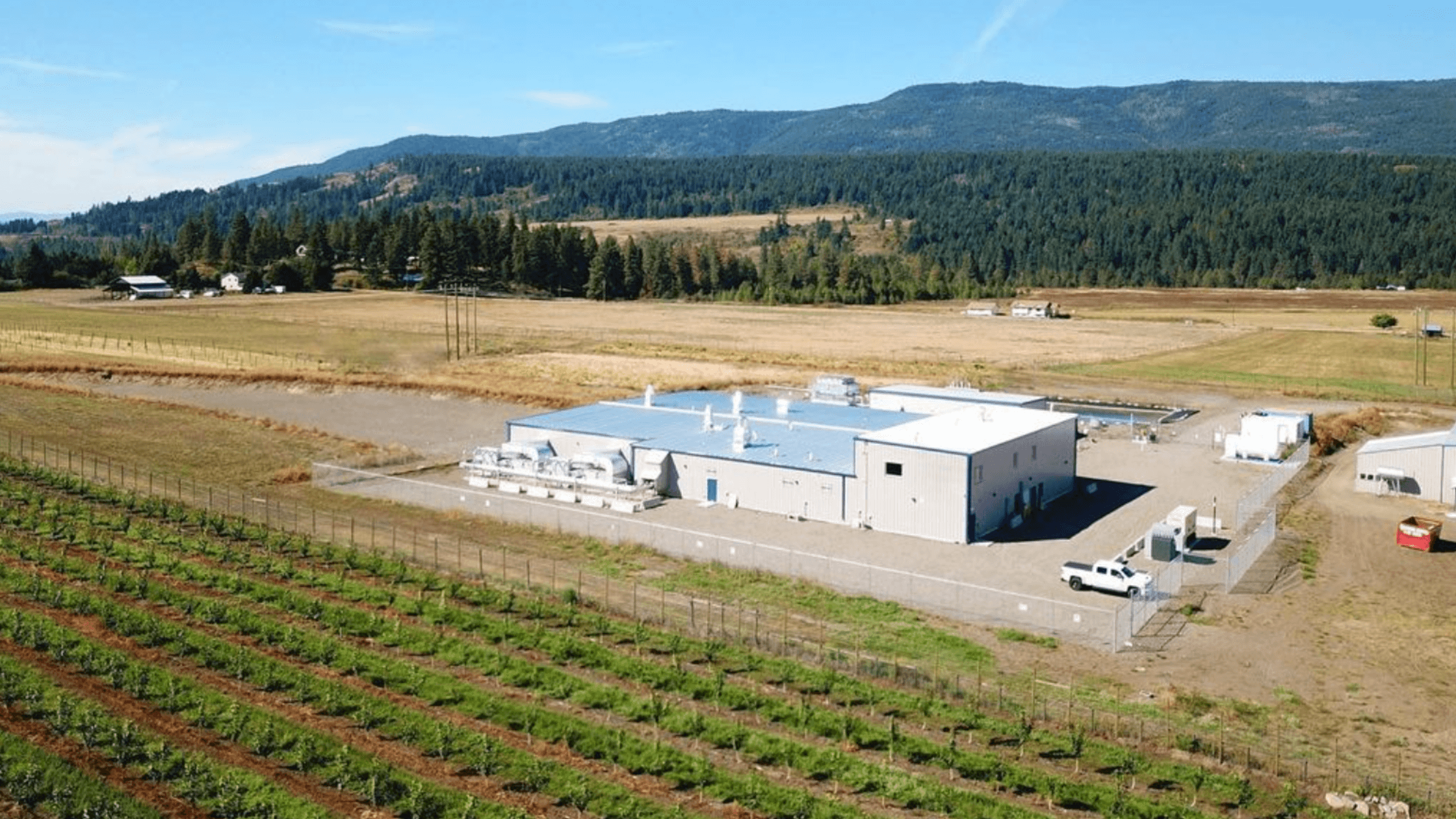 Case Study: Helping Lotus Co. make CTS reporting pain-free