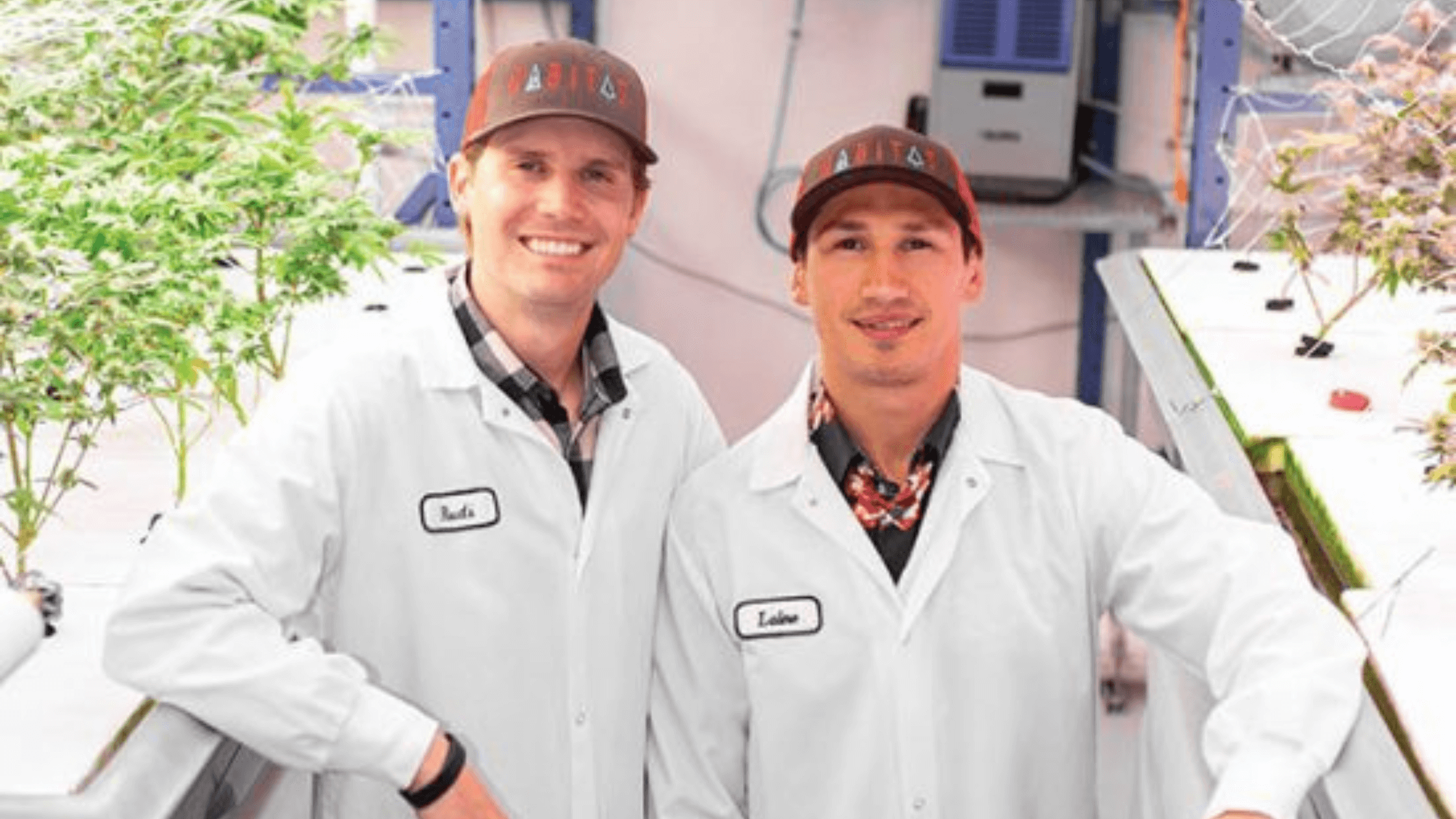 Case study: Streamlining Habitat's processes to help it scale