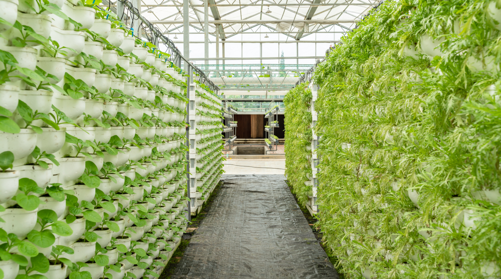 Case Study: Enabling Prairie Grass to be paperless from day 1