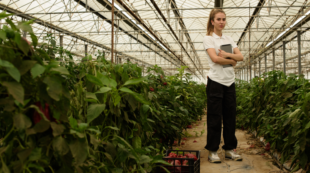 Mastering Manufacturing Automation: Essential Insights for Modern Producers