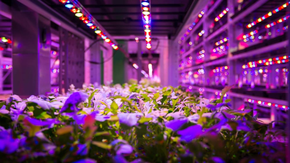 Case Study: Unlocking Rocket Factory's capacity to drive corporate growth