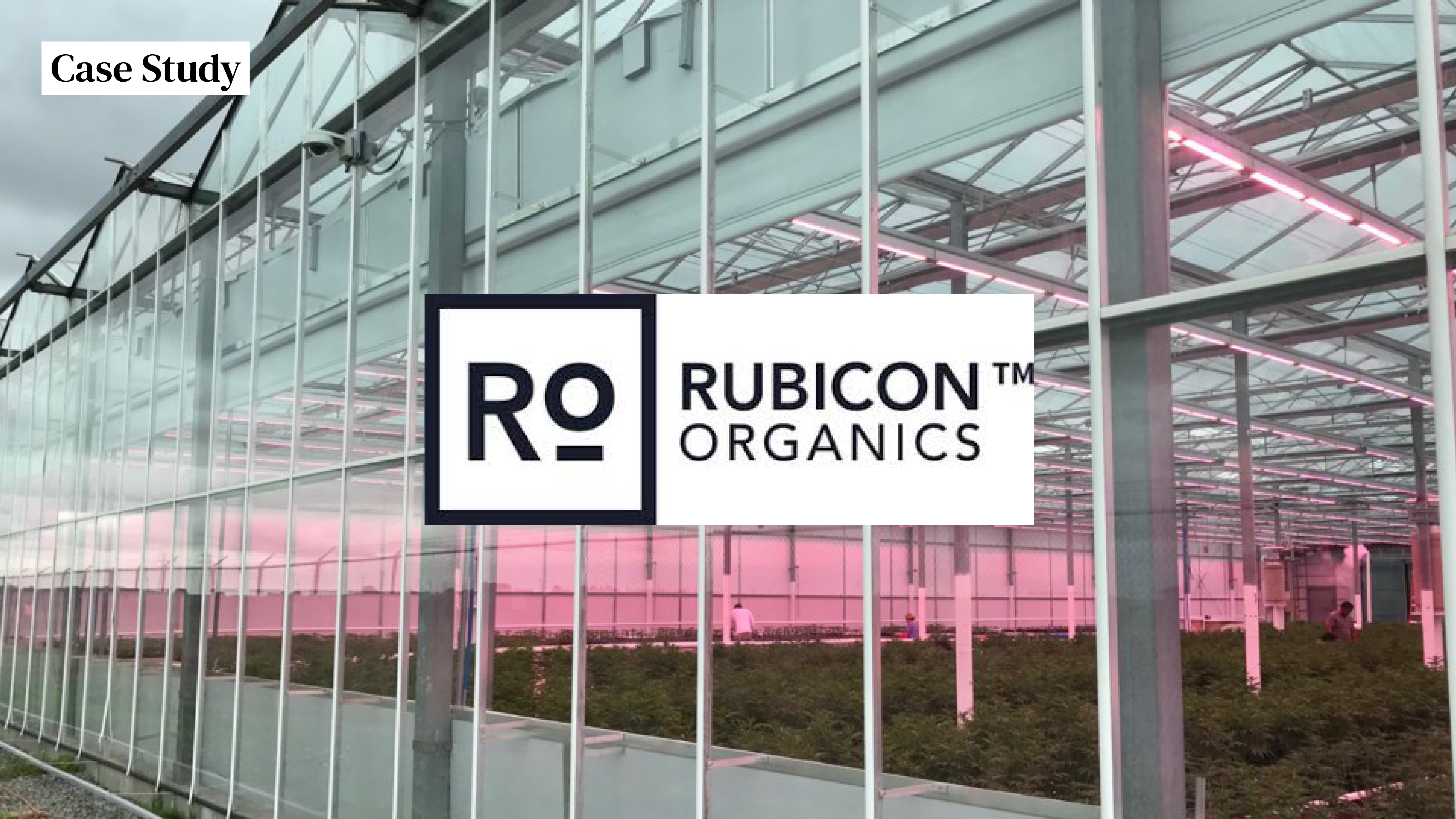 Case study: Helping Rubicon Organics save half million in one year