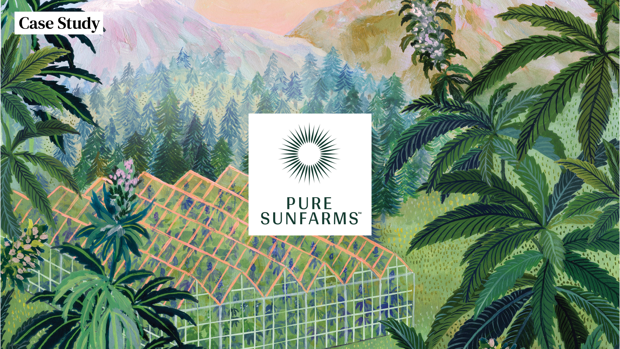 Pure Sunfarms uses Elevated Signals software