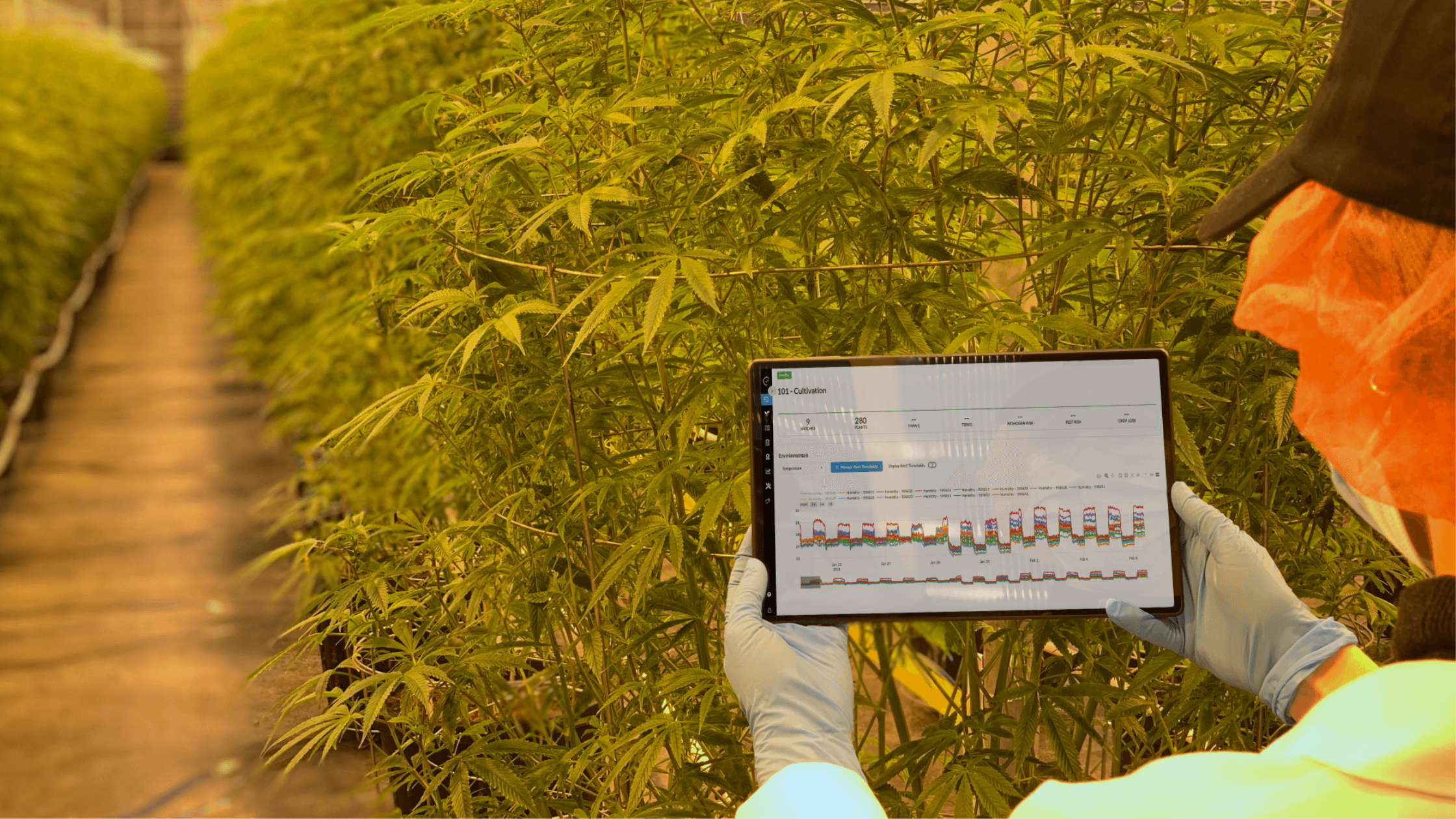 Case study Saving Tantalus Labs 1.3m with paperless record keeping