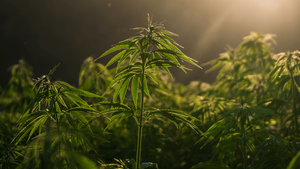 Avoid these 3 operational mistakes that are putting your facility at serious risk