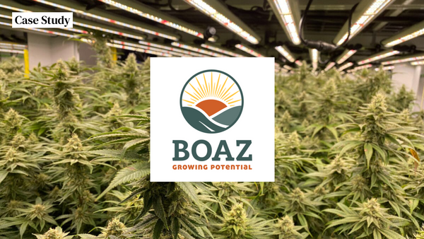 Case study: Saving BOAZ 50% in labour costs